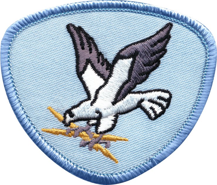 Dove-patch